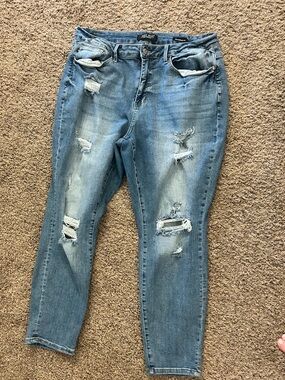 Judy Blue Boyfriend Fit Jeans in Light Blue Womens plus size 18W